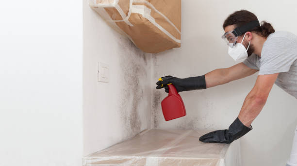 Professional Attic Mold Remediation technician working in Belle Haven, VA