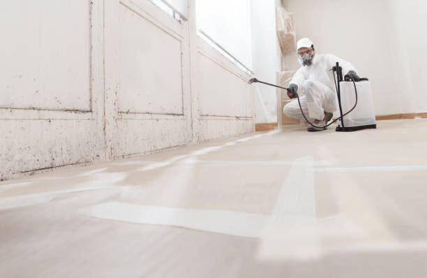 24/7 Emergency Attic Mold Remediation experts in Belle Haven, VA